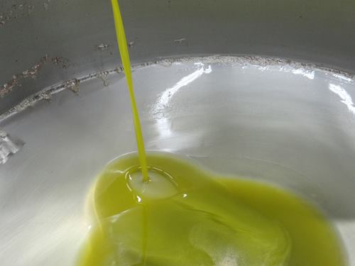 perillo-olive-oil-2