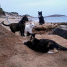 Visit A Very Special Cat Beach in Sardinia