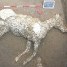 Remains of Horse Found at Pompeii