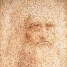 Da Vinci’s Hair Found in United States