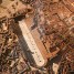 Renovated Section of Circus Maximus Reopens in Rome